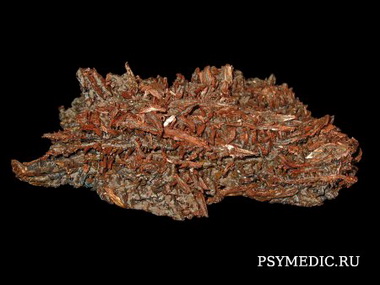 Металлическая и уксуснокислая медь (Cuprum metallicum, aceticum)